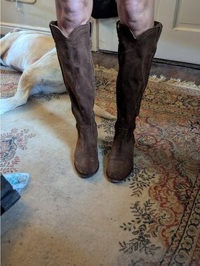 Frye Women's Tall Chocolate Brown Suede Boots